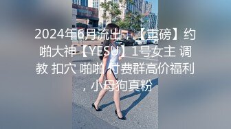 2024年6月流出，【重磅】约啪大神【YESU】1号女主 调教 扣穴 啪啪 付费群高价福利，小母狗真粉