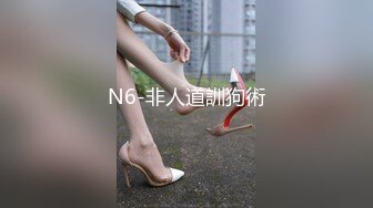 N6-非人道訓狗術