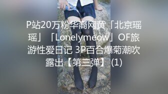 P站20万粉华裔网黄「北京瑶瑶」「Lonelymeow」OF旅游性爱日记 3P百合爆菊潮吹露出【第三弹】 (1)