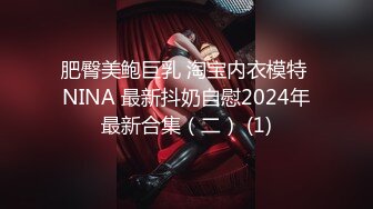 肥臀美鲍巨乳 淘宝内衣模特 NINA 最新抖奶自慰2024年最新合集（二） (1)