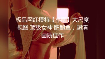 极品网红模特【小雨】大尺度视图 顶级女神 肥鲍鱼，超清画质佳作