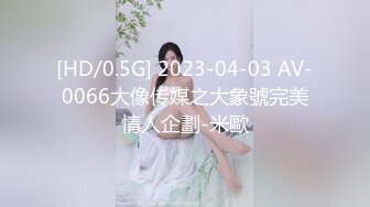 [HD/0.5G] 2023-04-03 AV-0066大像传媒之大象號完美情人企劃-米歐