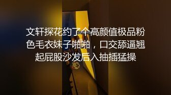 文轩探花约了个高颜值极品粉色毛衣妹子啪啪，口交舔逼翘起屁股沙发后入抽插猛操