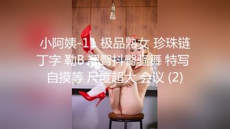 小阿姨-11 极品熟女 珍珠链丁字 勒B 翘臀抖臀骚舞 特写 自摸等 尺度超大 会议 (2)