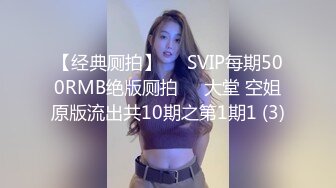 【经典厕拍】✅✅SVIP每期500RMB绝版厕拍❤️大堂 空姐原版流出共10期之第1期1 (3)