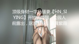 顶级身材一字马骚妻【HN_SIYING】开放式婚姻，公园人前露出，居家丝袜，道具紫薇 (4)