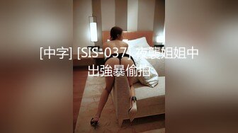 [中字] [SIS-037] 夜襲姐姐中出強暴偷拍