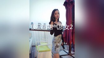 极品蓝裙气质女2