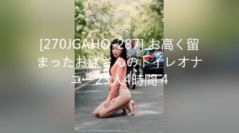 [270JGAHO-287] お高く留まったおばさんのトイレオナニー23人4時間 4