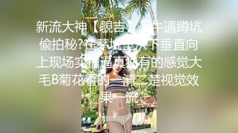 新流大神【覗吉】最牛逼蹲坑偸拍秘?在茅坑里从下垂直向上现场实拍逼真独有的感觉大毛B菊花看的一清二楚视觉效果一流