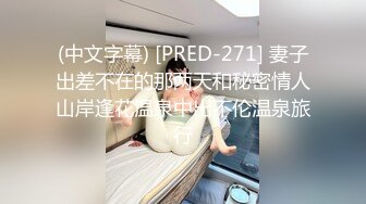 (中文字幕) [PRED-271] 妻子出差不在的那两天和秘密情人山岸逢花温泉中出不伦温泉旅行