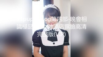 91puppydog第四部-晚會相識極品C奶女神酒店露臉高清完整版(VIP)