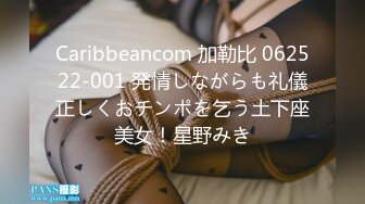 Caribbeancom 加勒比 062522-001 発情しながらも礼儀正しくおチンポを乞う土下座美女！星野みき